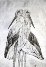 Hadzimová Veronika.jpg